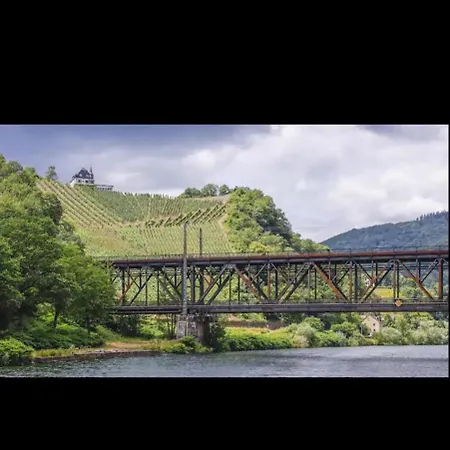 My Wellness * Bullay