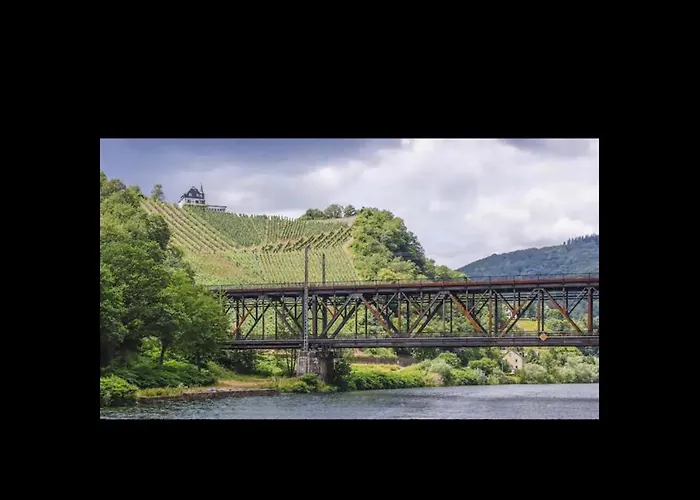 My Wellness * Bullay